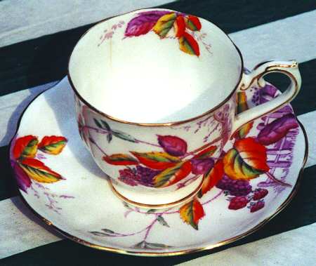 Bramble (Fence) by Royal Albert