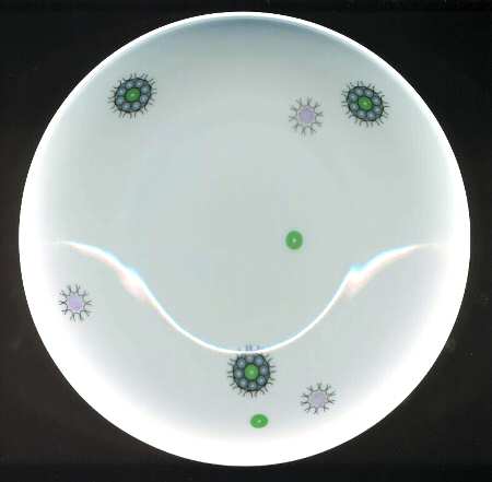 R956 by Rosenthal - Continental