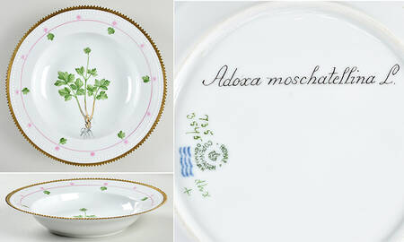Flora Danica (735 Series) Large Rim Soup Bowl-Adoxa moschatellina L