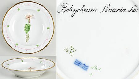 Flora Danica (735 Series) Rim Soup Bowl-Botrychium Linaria Sw