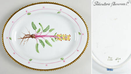 Flora Danica (735 Series) 9" Oval Serving Platter-Pedicularis flammea L