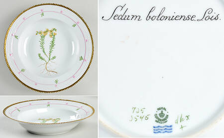 Flora Danica (735 Series) Large Rim Soup Bowl-Sedum boloniense Lois