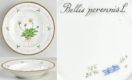Flora Danica (735 Series) Rim Soup Bowl-Bellis perennis L
