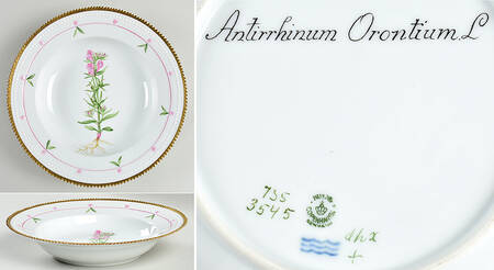 Flora Danica (735 Series) Large Rim Soup Bowl-Antirrhinum Orontium L