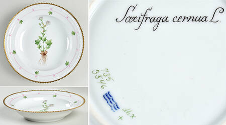 Flora Danica (735 Series) Rim Soup Bowl-Saxifraga cernua L