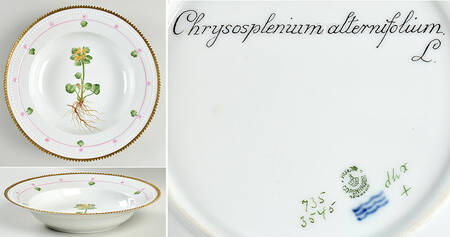 Flora Danica (735 Series) Large Rim Soup Bowl-Chrysosplenium alternifolium L
