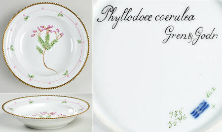 Flora Danica (735 Series) Rim Soup Bowl-Phyllodoce coerulea Gren & Godr