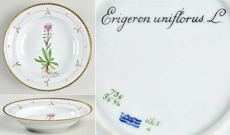 Flora Danica (735 Series) Rim Soup Bowl-Erigeron uniflorus L