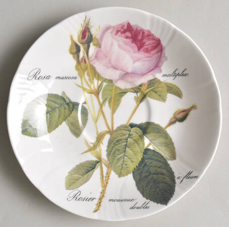 Redoute Roses Saucer for Breakfast Cup