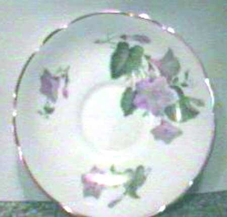 Convolvulus Saucer