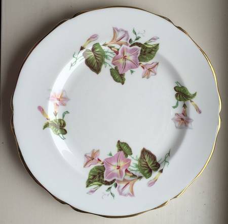 Convolvulus Salad Plate