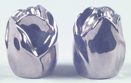 Silver Age Salt & Pepper Set
