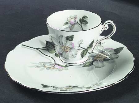 Camellia by Royal Standard