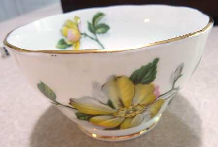 Camellia Open Sugar Bowl