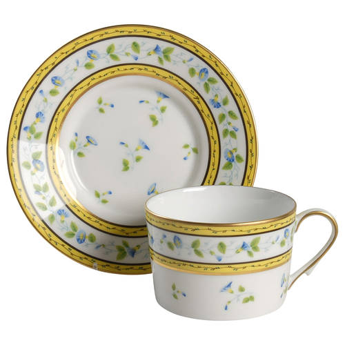 Morning Glory (Spray) Flat Cup & Saucer Set