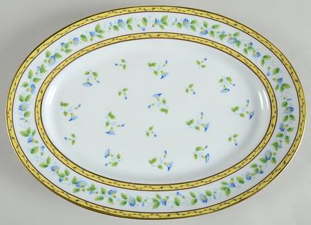 Morning Glory (Spray) 14" Oval Serving Platter