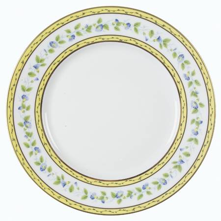Morning Glory(Ring) Large Dinner Plate