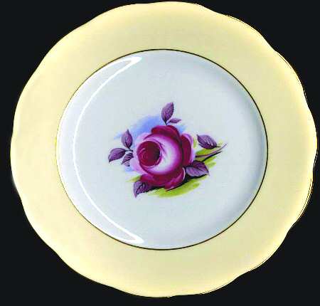 Painters Rose by Royal Albert