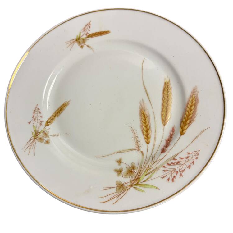 RXH11 Salad Plate