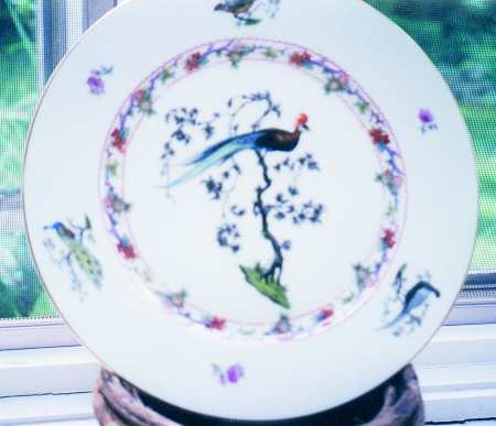 R1102 by Rosenthal - Continental