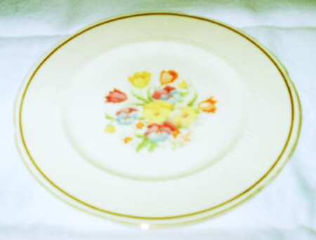 Gay Pariee Dinner Plate
