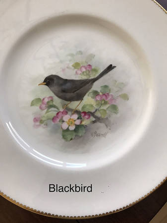 C3388 Dinner Plate