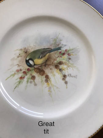 C3388 Dinner Plate