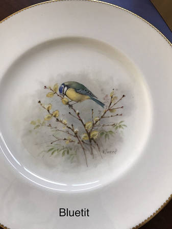 C3388 Dinner Plate