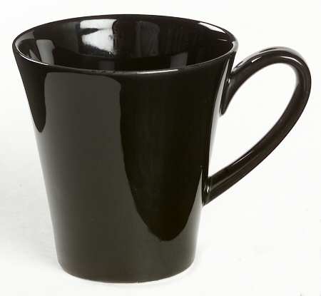 Fusion Black by Royal Doulton