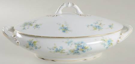 RSC47 Oval Covered Vegetable