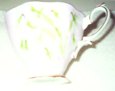 Laurentian Snowdrop Pale Pink by Royal Albert