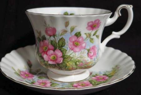 Sunnyside Series (Montrose Shape) Footed Cup & Saucer Set