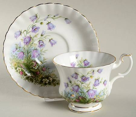 Sunnyside Series (Montrose Shape) Footed Cup & Saucer Set