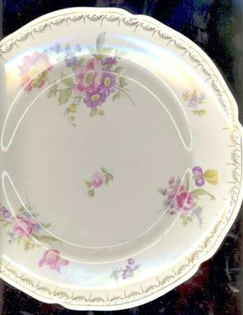 Royal Garden by Rosenthal - Continental