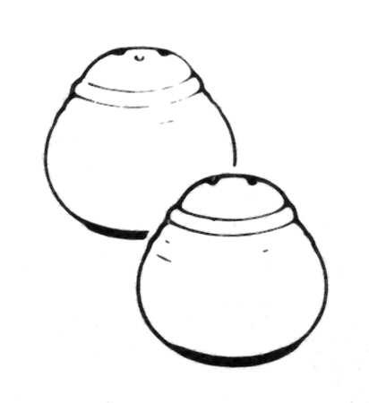 Prairie Song Salt & Pepper Set
