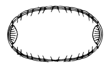 Astair Relish/Butter Tray