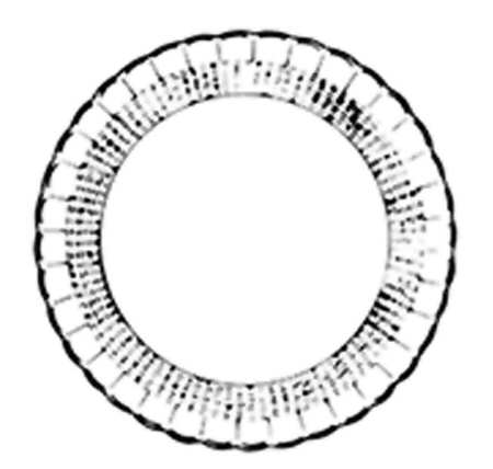 S444 Dinner Plate