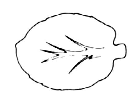 George Washington At Mt. Vernon Leaf Shaped Dish