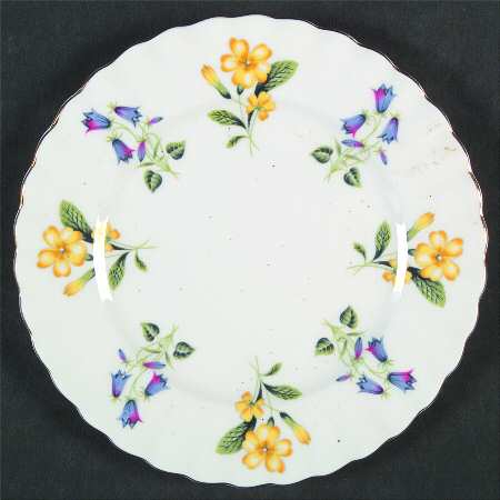 Windermere Bread & Butter Plate