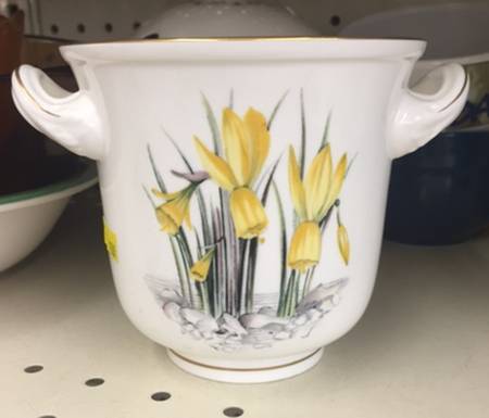 Alpine Flowers 5" Cachepot