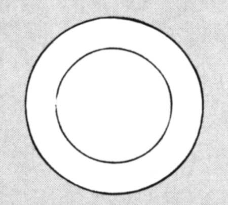 Trailfinder Salad Plate