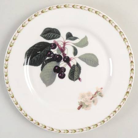 Hooker's Fruit (Fine China, Not Made in England) Salad/Dessert Plate
