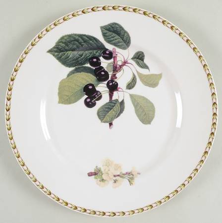 Hooker's Fruit (Fine China, Not Made in England) Dinner Plate by Rosina-Queens