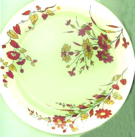 Flora by Ridgway (Ridgways)