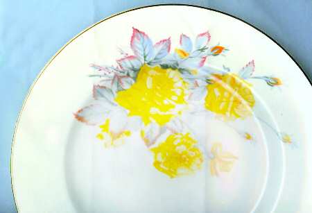 Yellow Rose by Royal Monarch