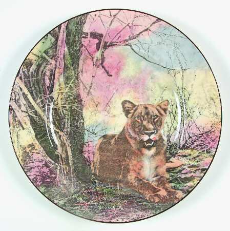 African Series Multicolor (Rimmed) by Royal Doulton