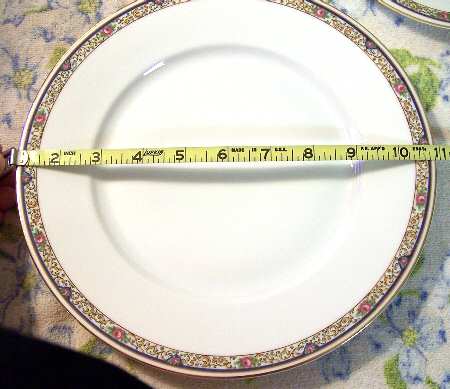 ROB335 Dinner Plate