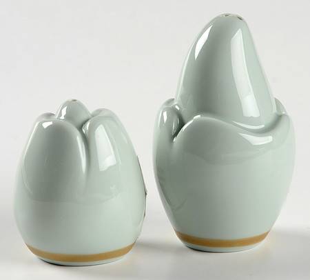 Nature Celadon Salt & Pepper Set