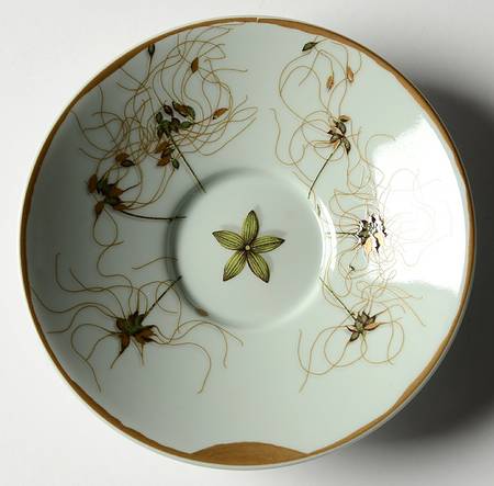 Nature Celadon Saucer for Flat Demitasse Cup