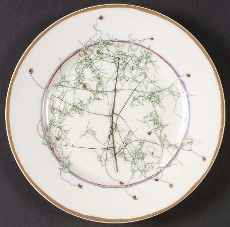 Nature Ivory Salad Plate